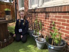 Helping our environment